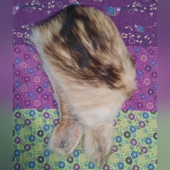 Vintage Genuine Fur Hat - Picture 2 of 9